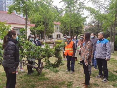 临沂市人民公园:加强修剪技能培训 提升精细化养护水平