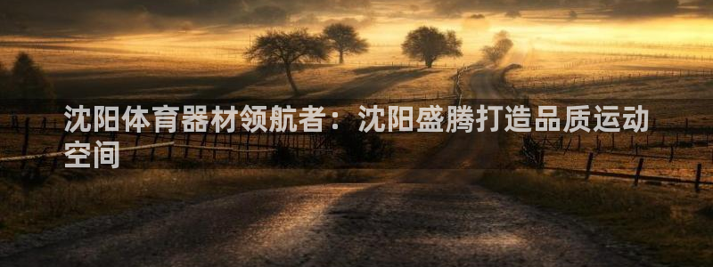 星欧娱乐公司创始人背景故事：沈阳体育器材领航者：沈阳