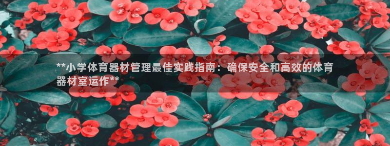 星欧娱乐退款电话人工服务：**小学体育器材管理最佳实