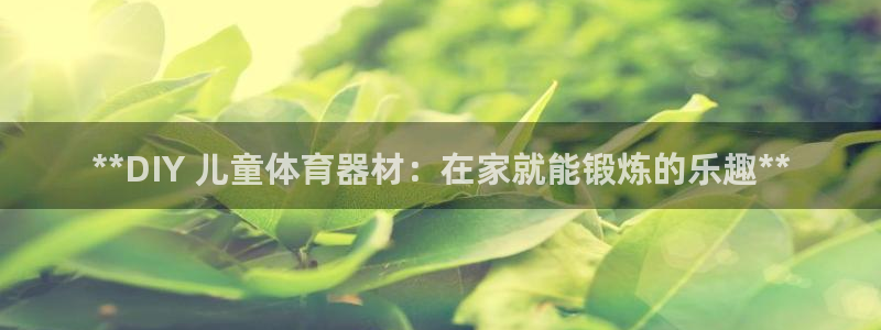 星欧娱乐平台告7O777：**DIY 儿童体育器材：