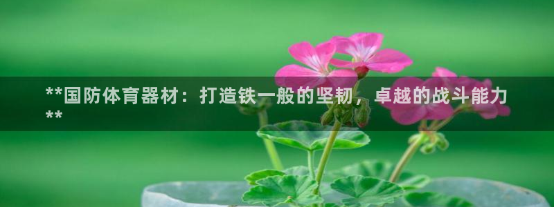 星欧娱乐工711.112怎么没有了：**国防体育器材