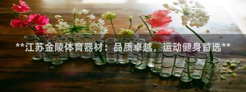 星欧娱乐法711.112怎么扣钱：**江苏金陵体育器