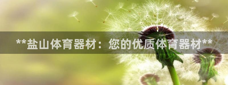 星娱乐文化传媒有限公司：**盐山体育器材：您的优质体