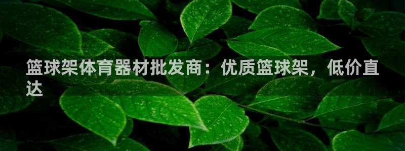 星娱乐online：篮球架体育器材批发商：优质篮球架