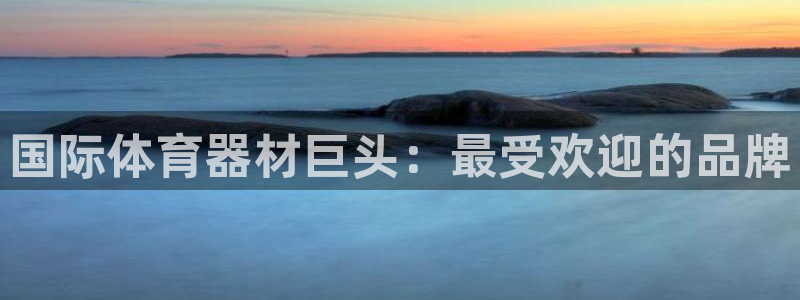 星欧娱乐挂机教程：国际体育器材巨头：最受欢迎的品牌
