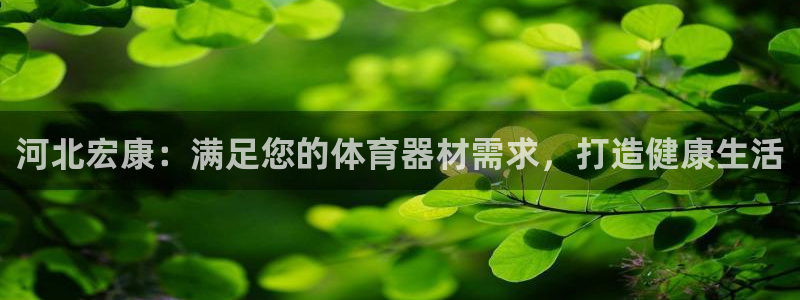 星娱乐文化传媒：河北宏康：满足您的体育器材需求，打造
