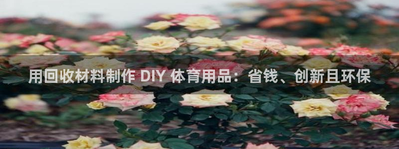 星欧娱乐下载最新版本更新内容：用回收材料制作 DIY