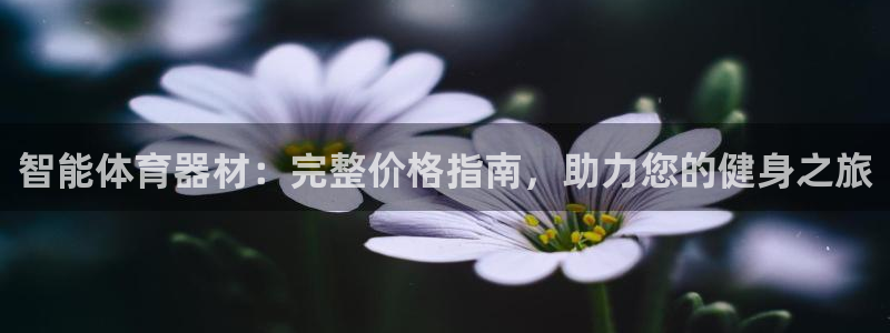 星欧娱乐扣款流程详解图片：智能体育器材：完整价格指南