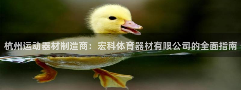 星澳娱乐公司：杭州运动器材制造商：宏科体育器材有限公