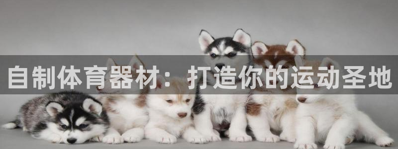 星澳娱乐公司：自制体育器材：打造你的运动圣地
