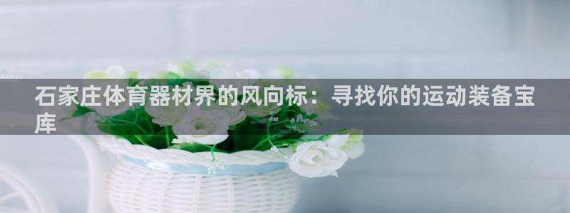 星欧娱乐公司创始人背景故事简介：石家庄体育器材界的风