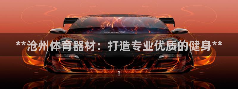 星欧娱乐是正规平台吗安全吗可靠吗：**沧州体育器材：