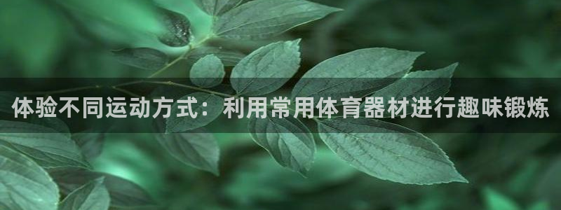 星欧娱乐扣款时间查询方法怎么查的