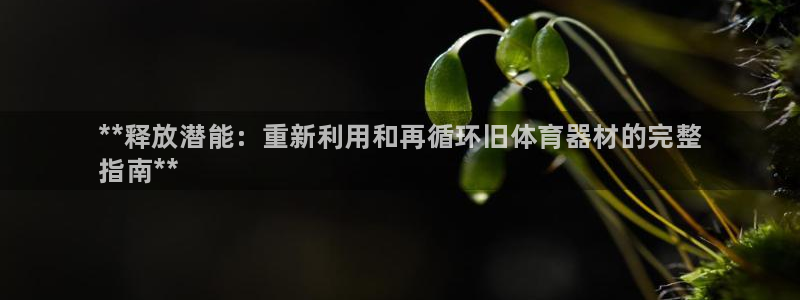 星欧娱乐扣钱步骤详解：**释放潜能：重新利用和再循环旧体育器 