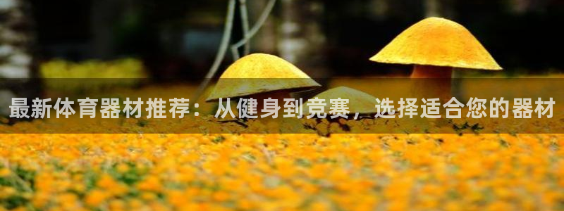 星欧娱乐平台量7O777