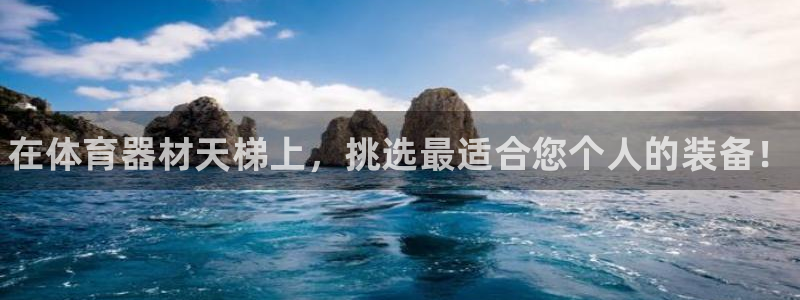 星奥娱乐艺人