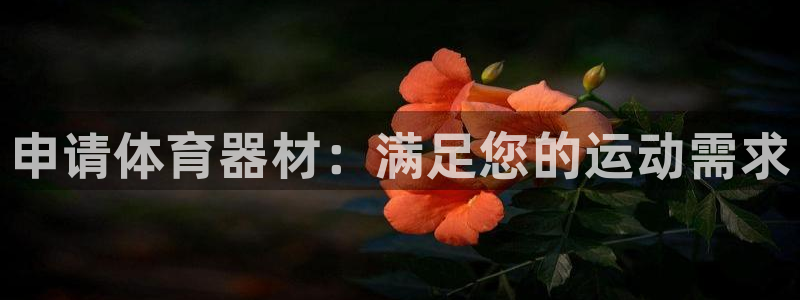 星欧娱乐公司：申请体育器材：满足您的运动需求