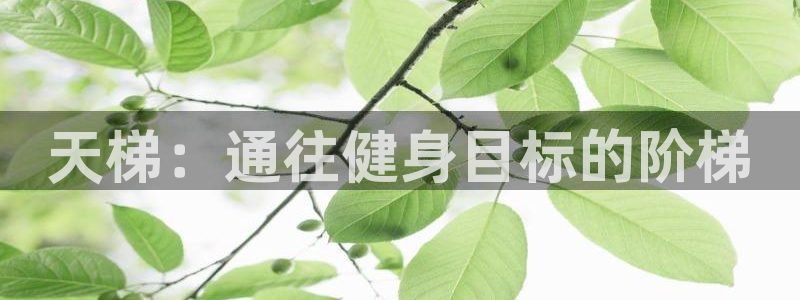 新星娱乐怎么开挂：天梯：通往健身目标的阶梯