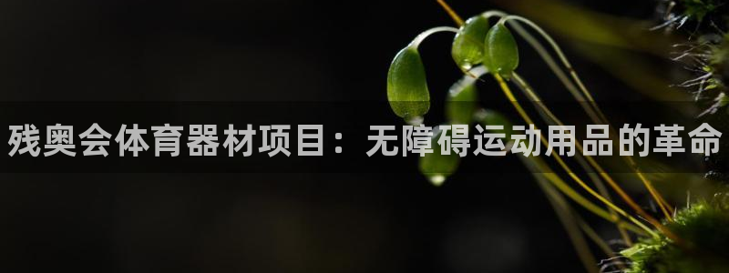 星欧娱乐彩票软件下载官网：残奥会体育器材项目：无障碍