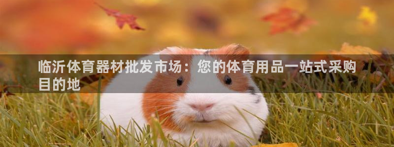 星欧娱乐属于什么档次的软件啊：临沂体育器材批发市场：