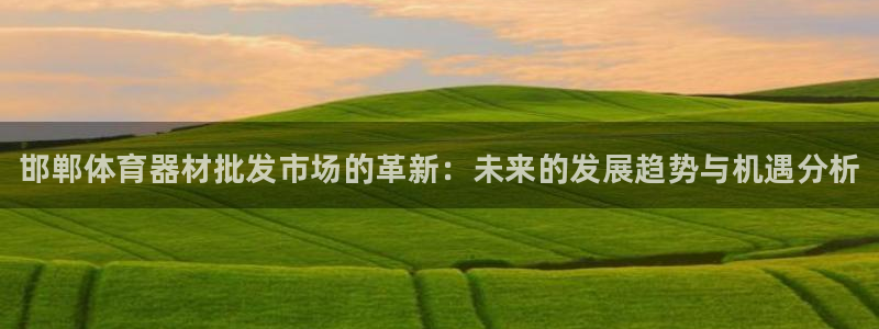 星奥娱乐集团怎么样：邯郸体育器材批发市场的革新：未来