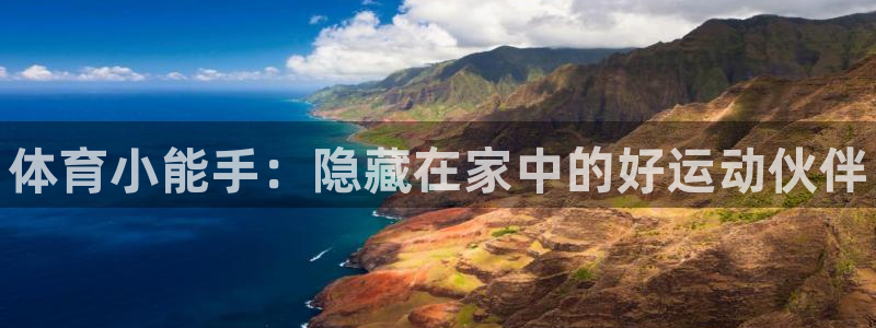 星欧娱乐app最新版本更新内容下载：体育小能手：隐藏