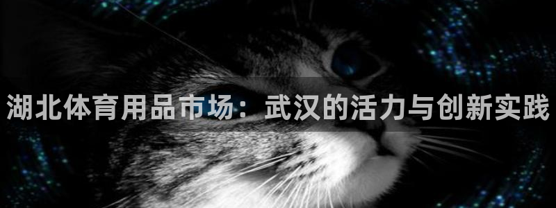 星欧娱乐属于什么档次的公司：湖北体育用品市场：武汉的