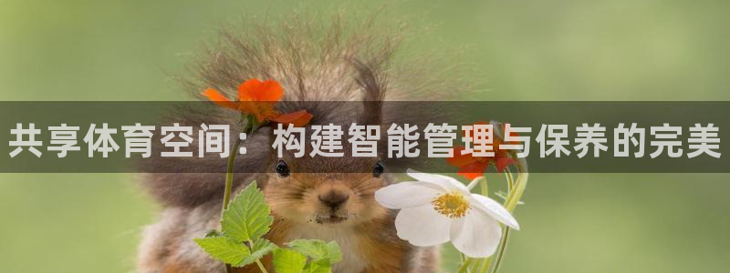 星欧娱乐测速：共享体育空间：构建智能管理与保养的完美