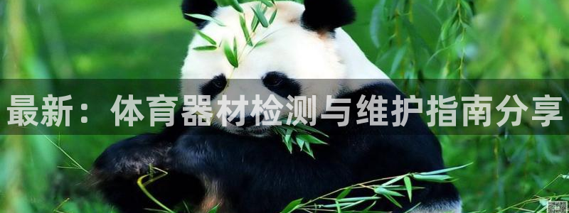 星欧娱乐属于什么档次的软件：最新：体育器材检测与维护指南分享