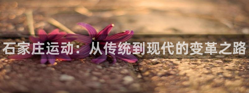 星欧娱乐扣款怎么回事：石家庄运动：从传统到现代的变革之路