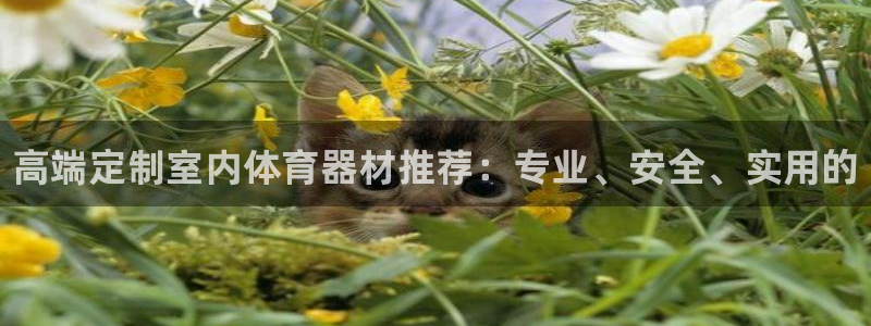 星欧娱乐最建议买的三个产品是什么呢：高端定制室内体育器材推荐