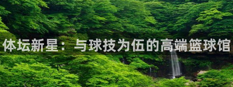 星娱乐文化传媒：体坛新星：与球技为伍的高端篮球馆 