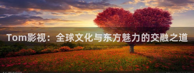 小小影视大全：Tom影视：全球文化与东方魅力的交融之道