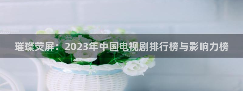 小小影视大全2024下载：璀璨荧屏：2023年中国电视剧排行榜与影响力榜