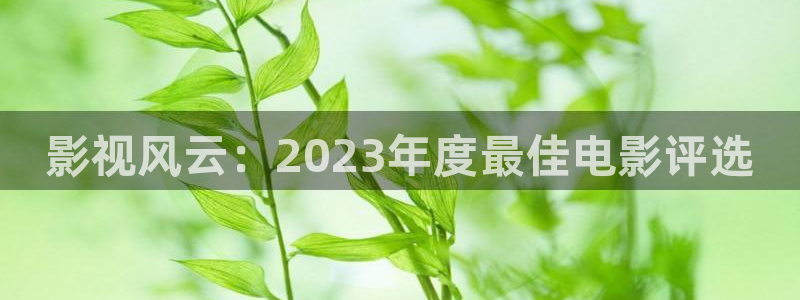 小小影视官：影视风云：2023年度最佳电影评选