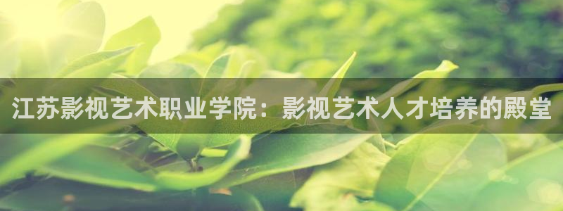 小小影视正版下载：江苏影视艺术职业学院：影视艺术人才培养的殿堂