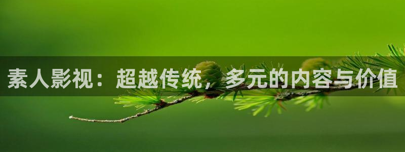 小小影视在线播放观看免费：素人影视：超越传统，多元的内容与价值