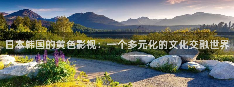 小小影视大：日本韩国的黄色影视：一个多元化的文化交融世界