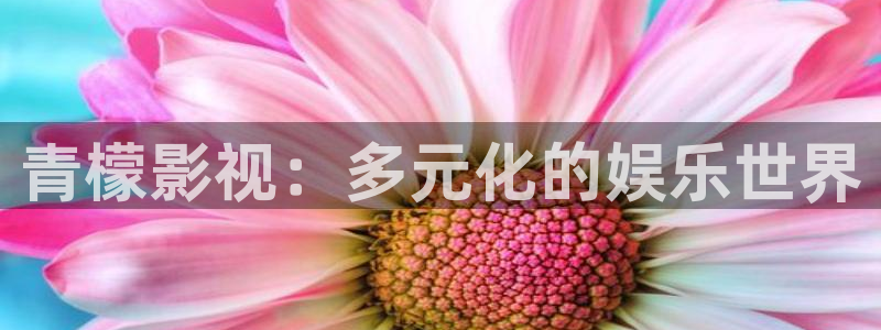 小小影视最新版官网：青檬影视：多元化的娱乐世界