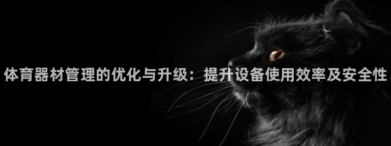 星欧娱乐和嫲薇他的区别是什么：体育器材管理的优化与升