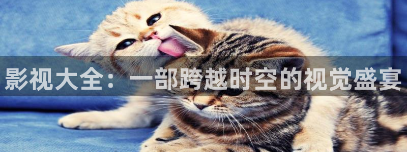 小小影视破解版：影视大全：一部跨越时空的视觉盛宴