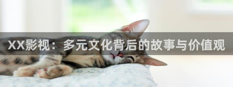小小影视大全电视剧：XX影视：多元文化背后的故事与价值观
